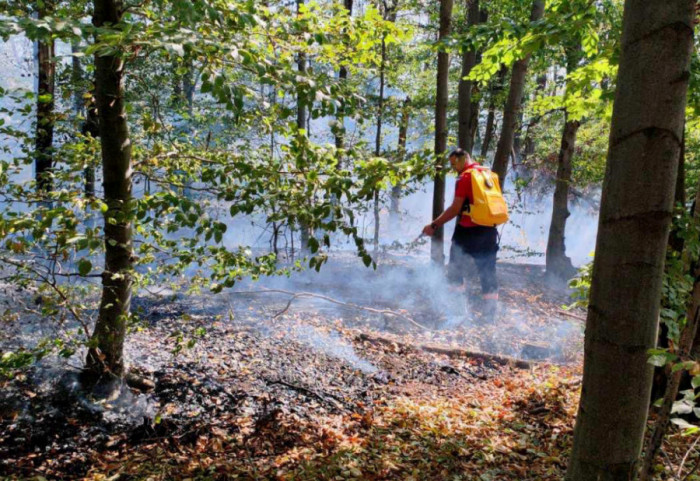 MUP: Lokalizovani požari na Vidliču i u Stanči,  gori šuma u Ibarskoj klisuri