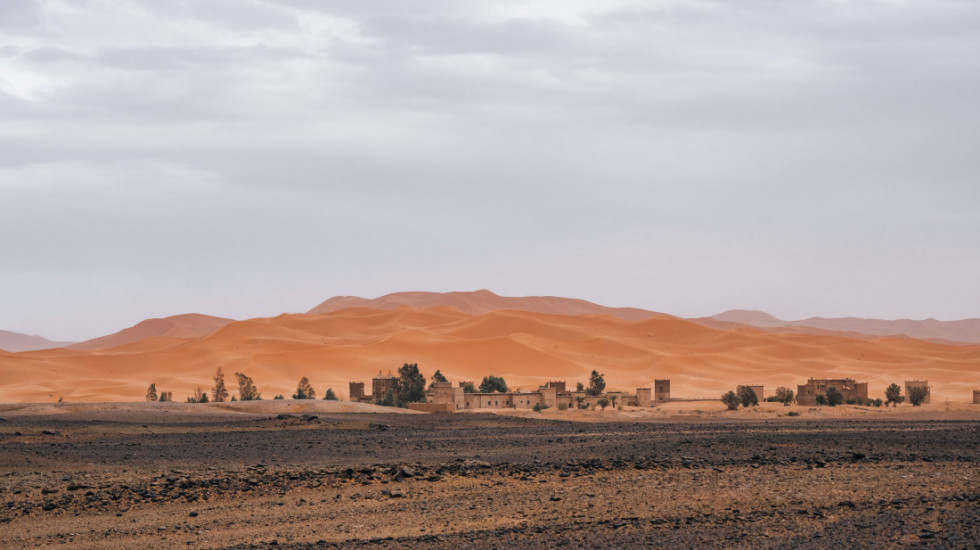 Sahara ozelenila zbog neobičnog priliva kiše: Biljni svet buja u sušnoj pustinji