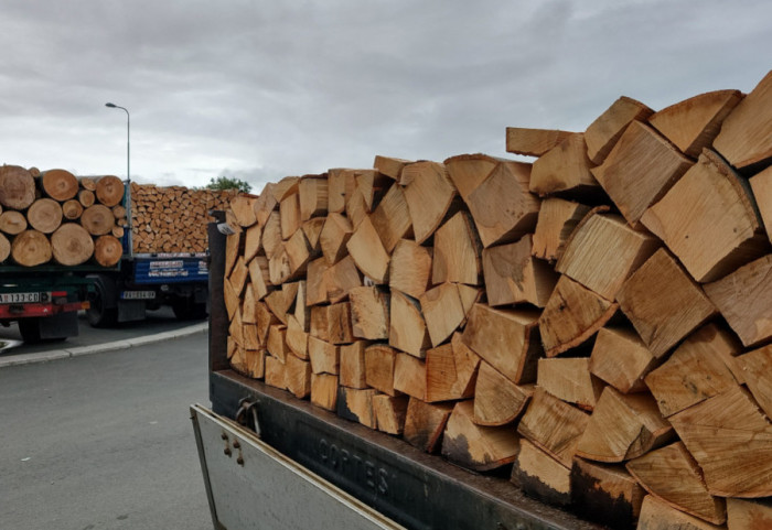 "Srbijašume": Kubik drva 50 odsto jeftiniji, za najugroženije cena 2.900 dinara
