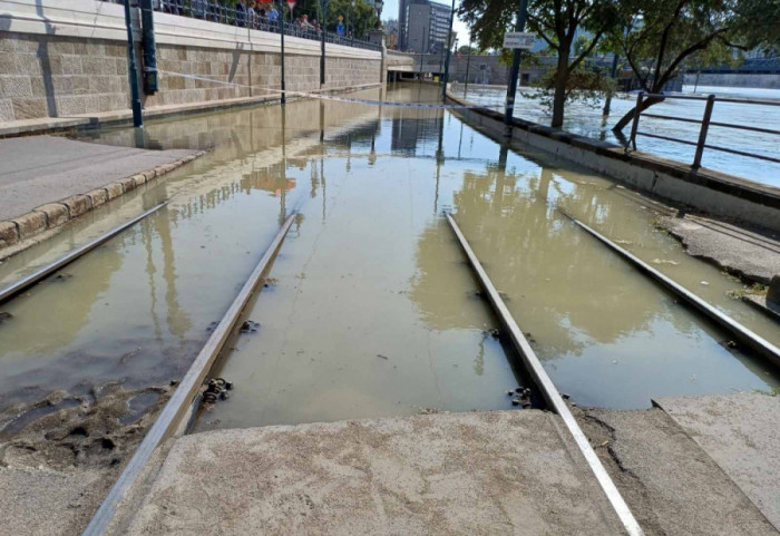 Raste Dunav na ulazu u Srbiju, vrh talasa u sredu: Najugroženija naselja kod Bezdana i Apatina