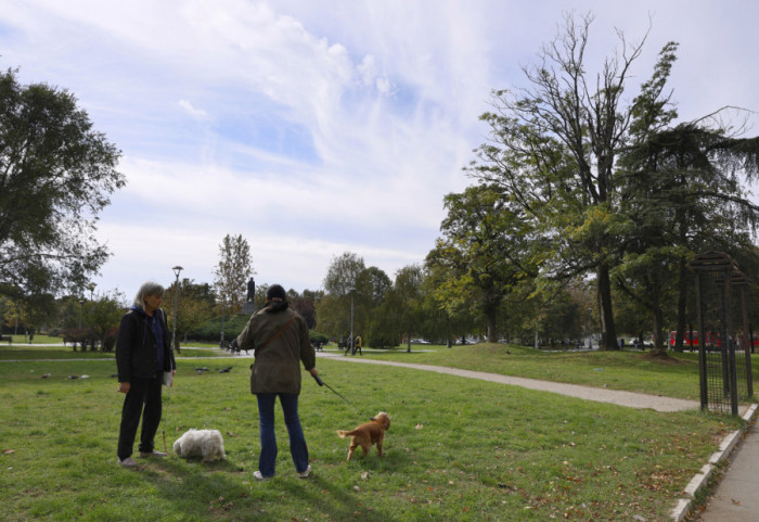 Niske temperature mogu biti opasne: Kada postaje previše hladno za šetnju sa psom