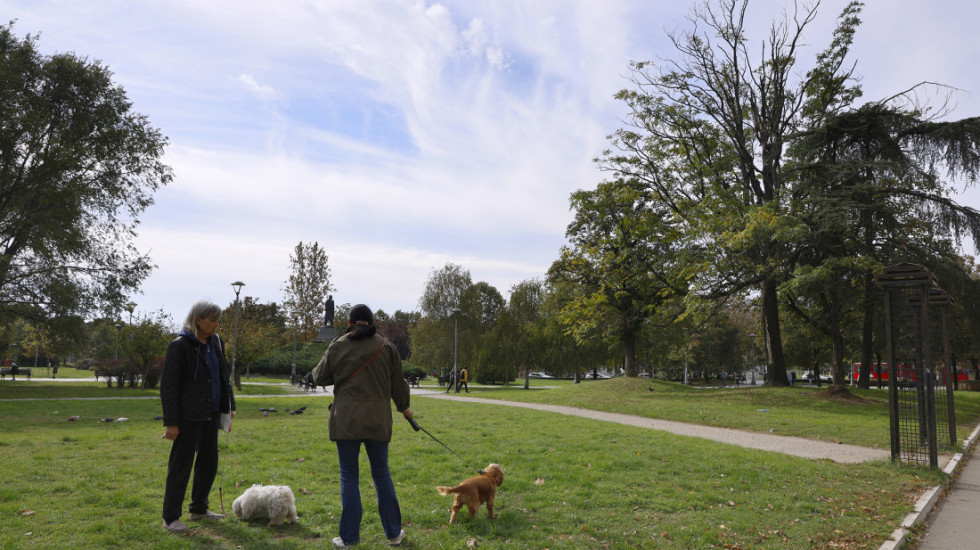 Niske temperature mogu biti opasne: Kada postaje previše hladno za šetnju sa psom