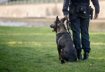 Incident u Hrvatskoj: Službeni pas napao i povredio pravosudnog policajca