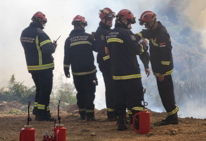 Gori farma kod Šapca, izgorelo 29 grla stoke