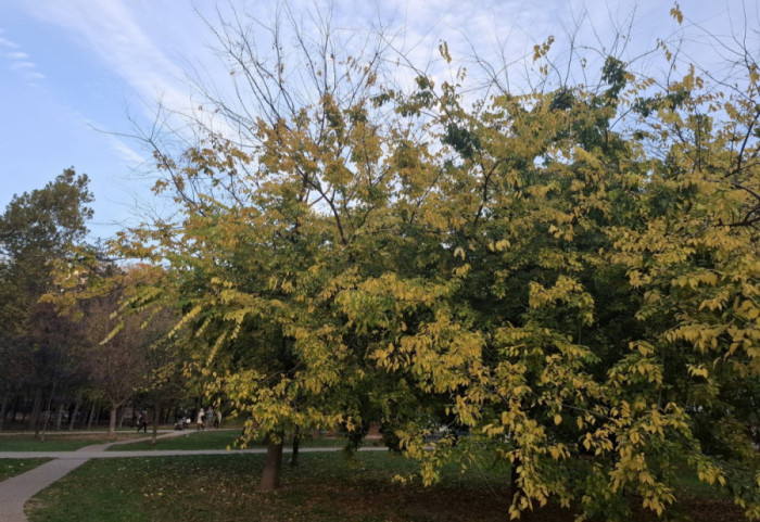 Pretežno sunčan prvi dan novembra, temperatura do 21 stepen