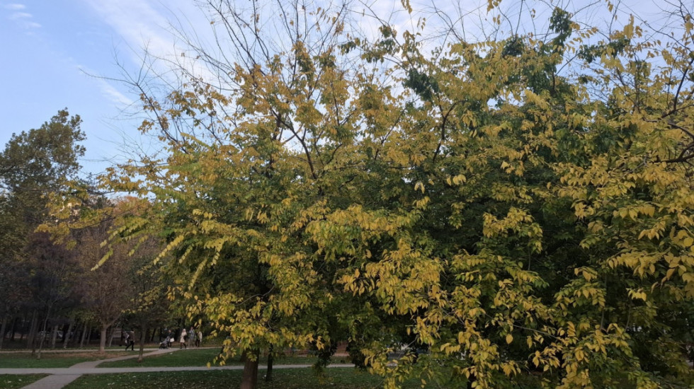 Pretežno sunčan prvi dan novembra, temperatura do 21 stepen