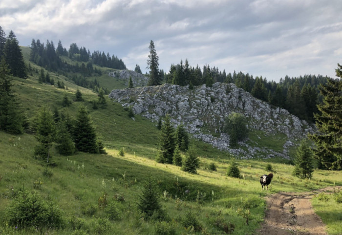 (FOTO) Proglašeno novo zaštićeno područje - Specijalni rezervat prirode Mojstirsko-Draške planine