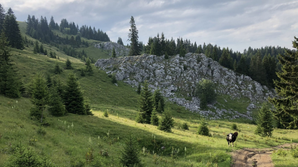 (FOTO) Proglašeno novo zaštićeno područje - Specijalni rezervat prirode Mojstirsko-Draške planine