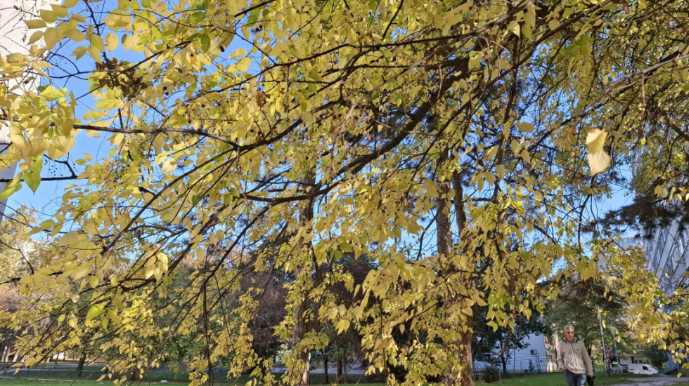 Jutro hladno sa umerenim mrazem, tokom dana sunčano: Temperatura do 16 stepeni