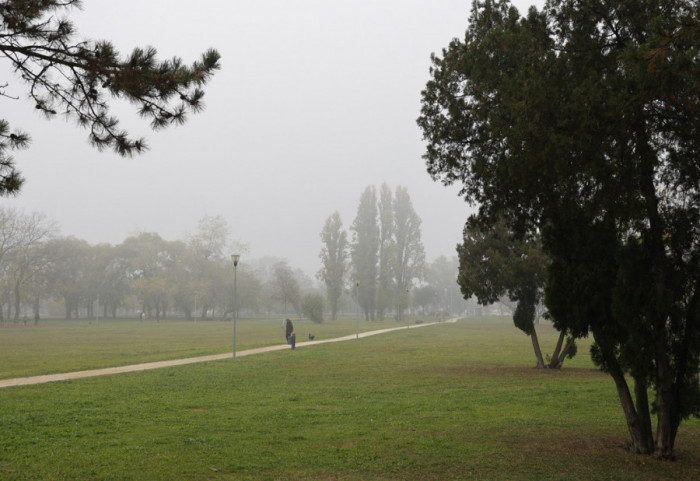 Park Ušće dobija novo drveće: Prioritet maksimalno očuvanje postojećih stabala