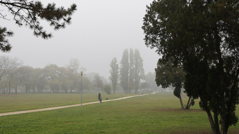 Park Ušće dobija novo drveće: Prioritet maksimalno očuvanje postojećih stabala