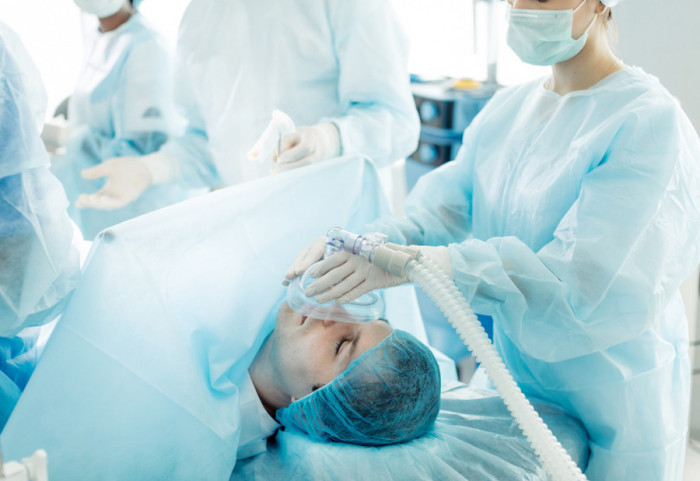 Transplantacija organa genetski modifikovanih svinja kao nova nada: Mogu li nadmašiti ljudske?