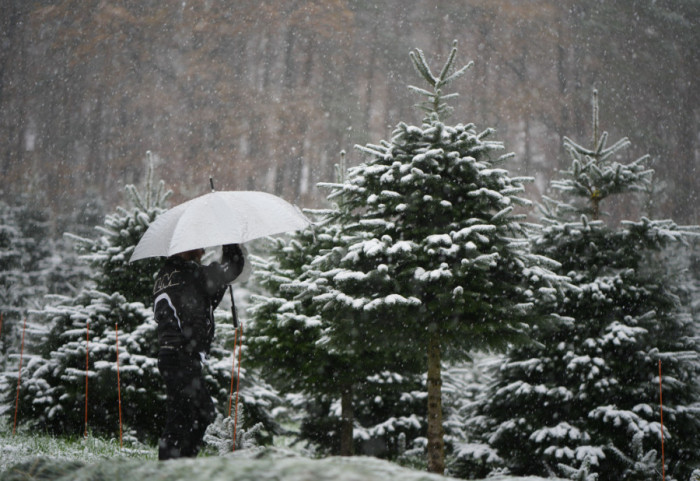 Stiže prava zima: Kiša, susnežica, sneg, temperatura do devet stepeni