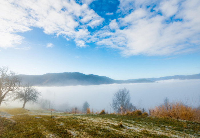 Ujutru mraz, tokom dana sunčano i toplije, maksimalna temperatura do 12 stepeni