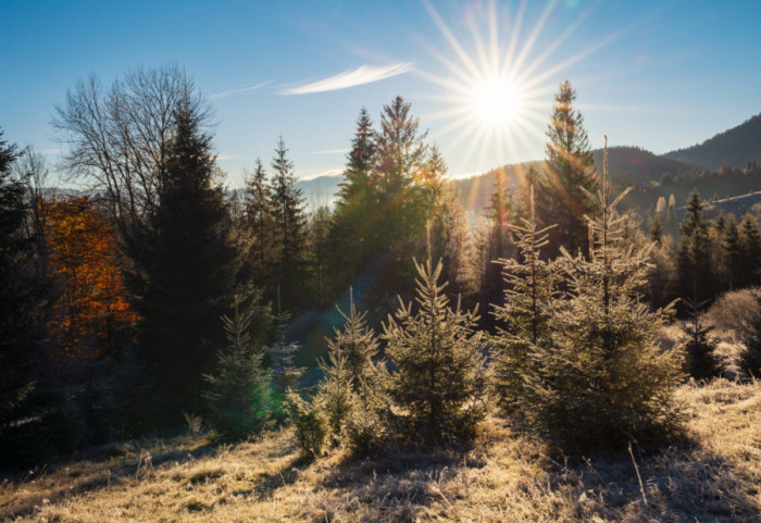 Sunčano i toplije, bez padavina: Temperatura do 15 stepeni