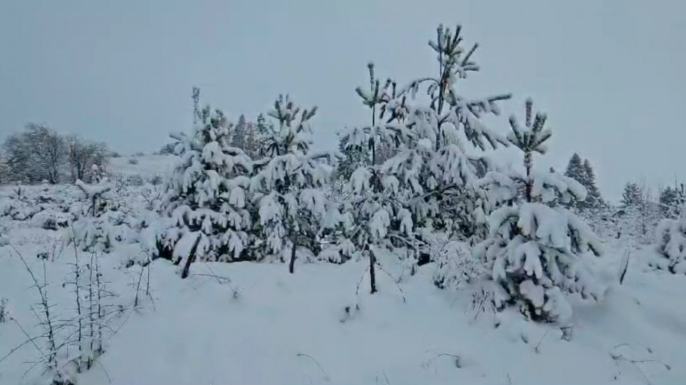 (VIDEO) Zabelela se Zapadna Srbija, na planinama snežni pokrivač i do jednog metra