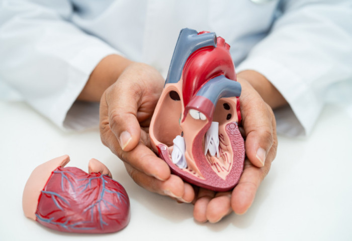 Nova pravila za srce: Lekari menjaju pristup holesterolu i spasavaju godine života