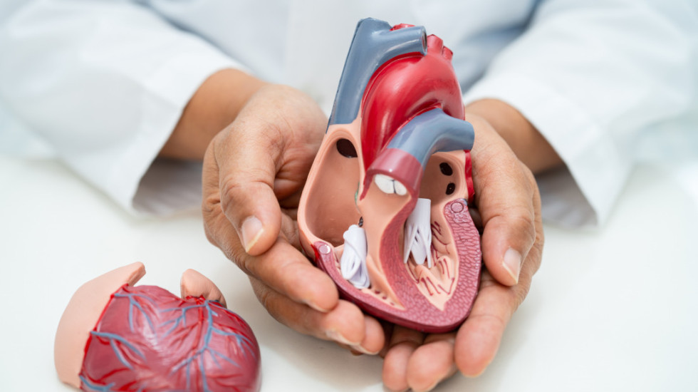 Nova pravila za srce: Lekari menjaju pristup holesterolu i spasavaju godine života