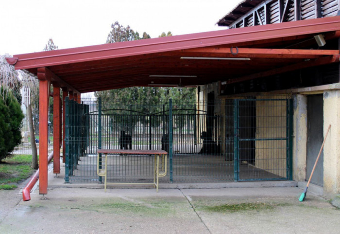 Vanredni inspekcijski nadzor u ZOO vrtu Palić: Životinje u dobrom zdravstvenom stanju