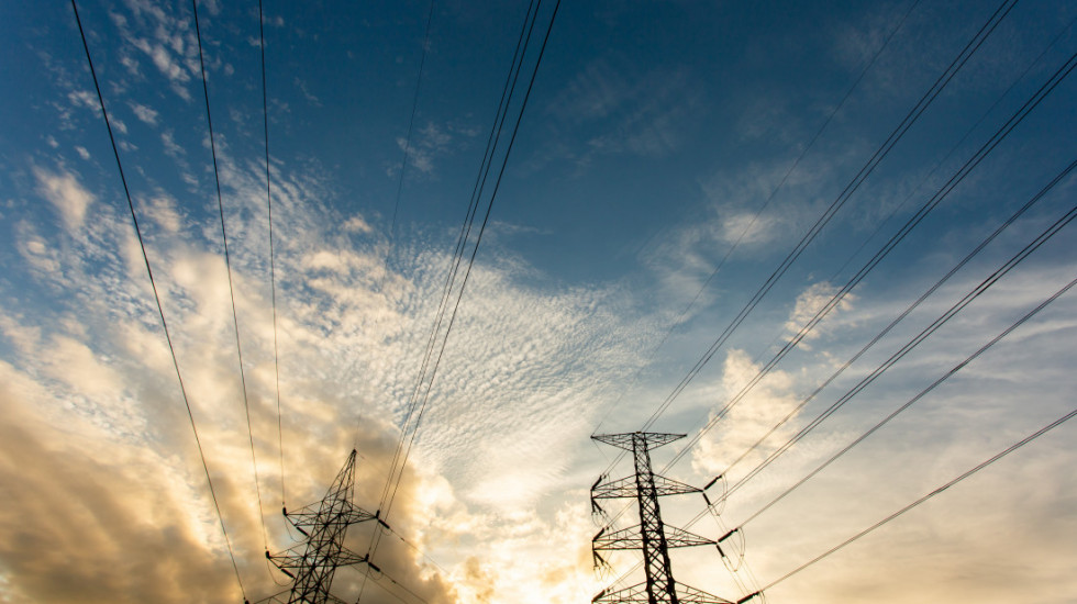Majmun ugasio struju celoj Šri Lanki