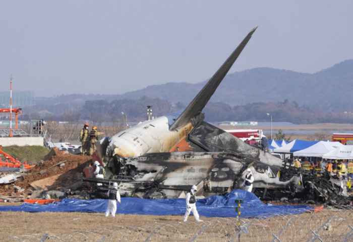 Južna Koreja: Za avionsku nesreću u kojoj je poginulo 179 osoba krive ptice