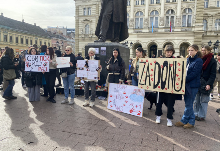 Novosađani su odali počast stradalom psu Doni ispred Gradske kuće: "Dosta je bilo gaženja ljudi, a sada i životinja"