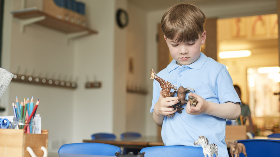 Zaplenjeno osam miliona lažnih i štetnih igračaka u predbožićnoj akciji Evropola