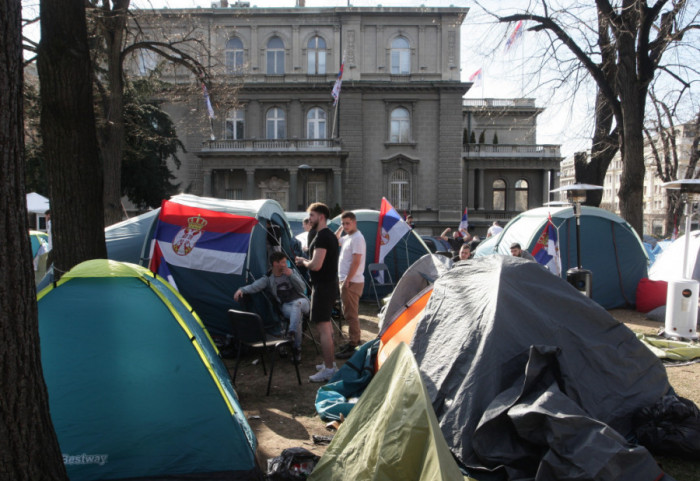 Studenti Biološkog fakulteta zabrinuti zbog Pionirskog parka: "Danima izvođene aktivnosti koje ugrožavaju vegetaciju"