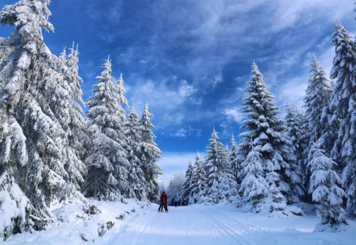 Lavina na skijalištu u Austriji: Jedan skijaš poginuo, dvojica povređena