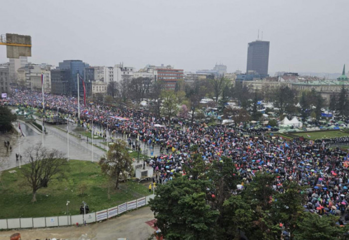 Specijalna izvestiteljka UN: Potrebna odgovarajuća istraga o upotrebi zvučnog topa protiv učesnika protesta 15. marta
