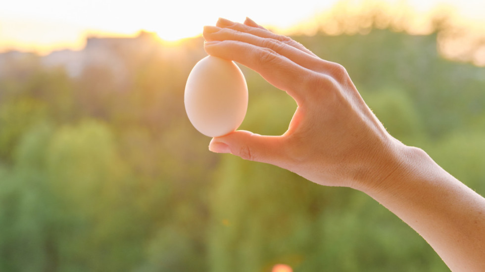 Savršeno okruglo jaje prodato za više od 500 dolara na aukciji u Velikoj Britaniji