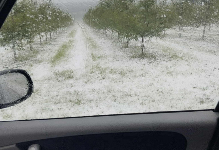 (FOTO) Jako olujno nevreme zahvatilo delove Šumadije: Grad pogodio Topolu, Aranđelovac, Raču i Smederevsku Palanku
