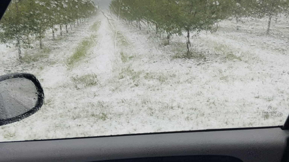 (FOTO) Jako olujno nevreme zahvatilo delove Šumadije: Grad pogodio Topolu, Aranđelovac, Raču i Smederevsku Palanku