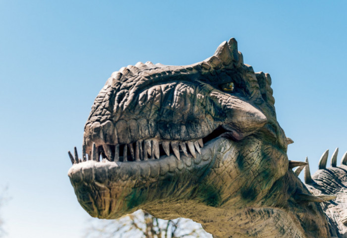 "Luksuzni modni predmet razvijen iz izumrle vrste": Ostaci tiranosaurus reksa koriste se za stvaranje t-reks kože