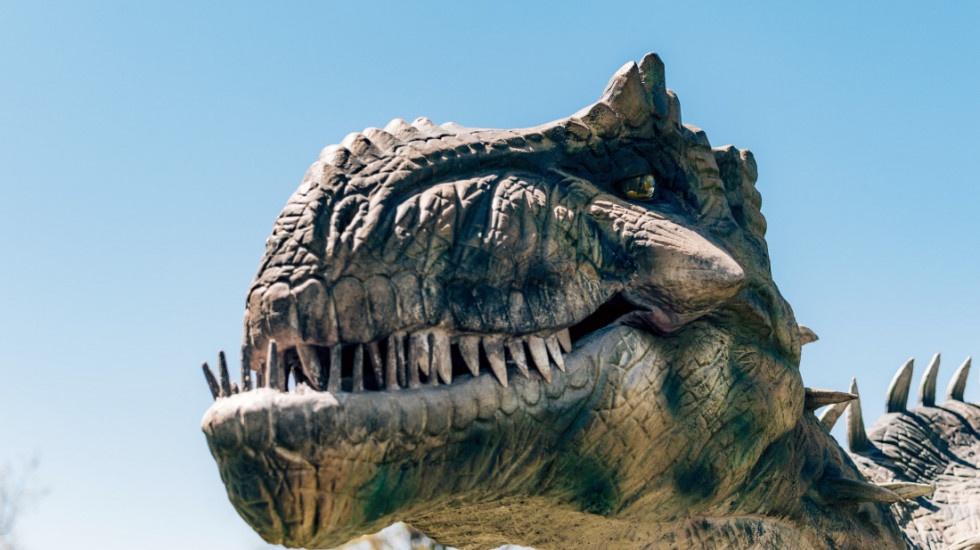 "Luksuzni modni predmet razvijen iz izumrle vrste": Ostaci tiranosaurus reksa koriste se za stvaranje t-reks kože