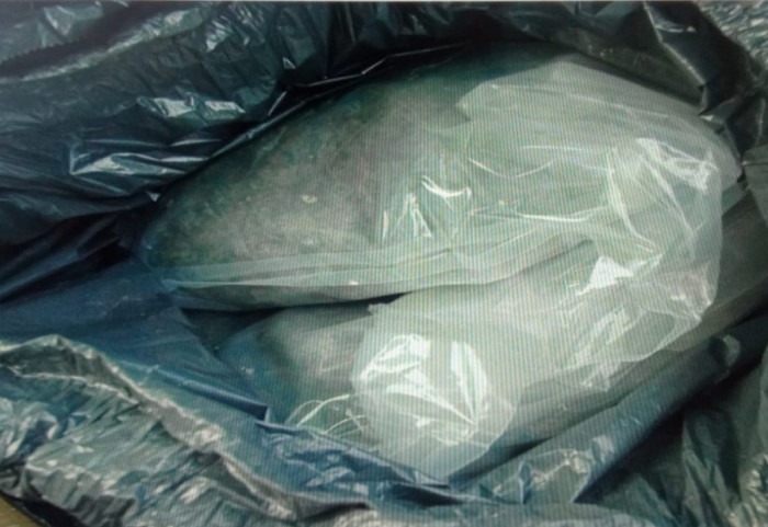 Uhapšen mladić (19) u Staroj Pazovi zbog posedovanja kokaina i opojnih droga