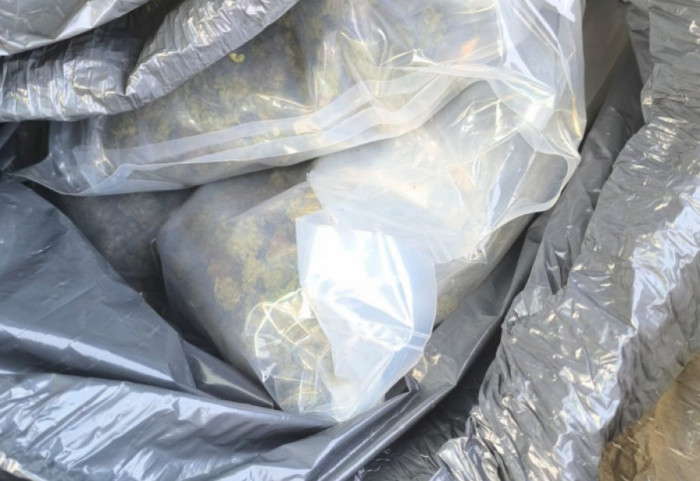U akciji UKP zaplenjeno skoro 200 kilograma marihuane, uhapšene četiri osobe