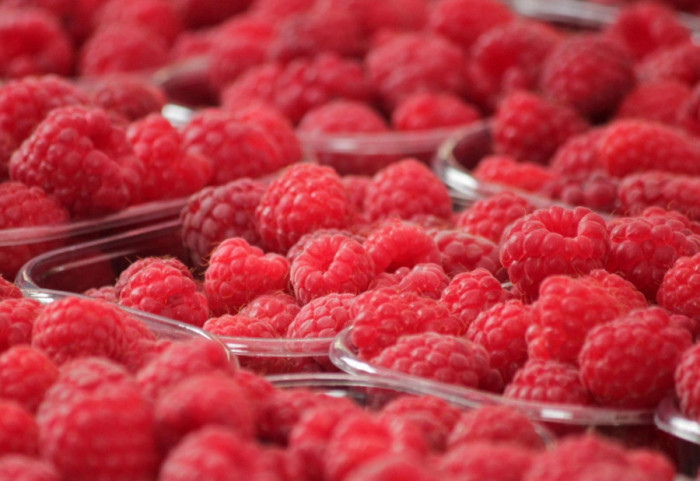 Strane maline se prodaju pod etiketom srpskog porekla: Da li je profit pojedinaca važniji od nacionalnog brenda