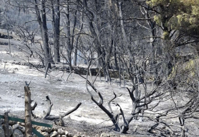 Ugašen požar u Splitu, gorelo oko dva hektara trave i niskog rastinja