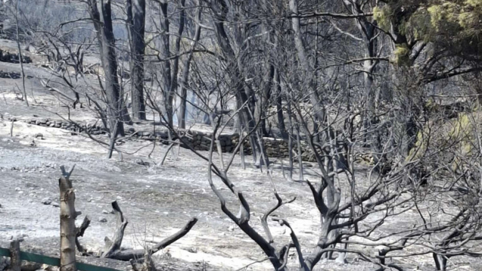 Ugašen požar u Splitu, gorelo oko dva hektara trave i niskog rastinja