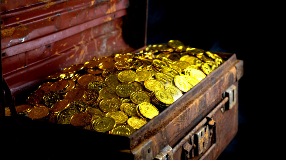 Francuz otkrio skriveno blago kopajući bazen u dvorištu: Vlasti mu dozvolile da ga zadrži jer nije arheološko