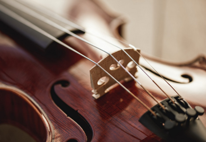 Londonska policija traži pomoć da pronađe ukradenu violinu staru 285 godina: Nagrada - 150.000 funti