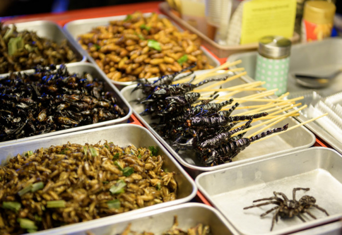 Insekti kao zamena za meso: Da li je svet spreman za kulinarsku revoluciju