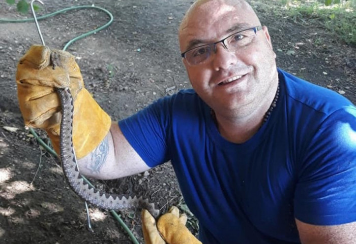 Kako da prepoznate zmiju otrovnicu i šta ako vas ujede: "Ne isisavajte ranu i ne stavljajte alkohol"