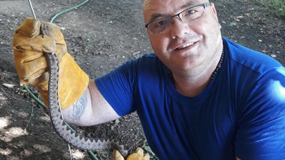 Kako da prepoznate zmiju otrovnicu i šta ako vas ujede: "Ne isisavajte ranu i ne stavljajte alkohol"