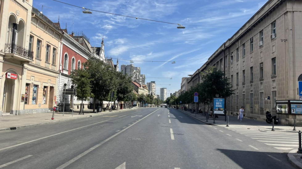 Umesto zemlje – nova podloga oko stabala u Zemunu: Kako funkcioniše sistem koji se ugrađuje oko drveća