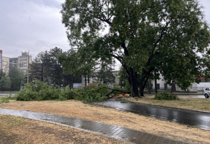(FOTO/VIDEO) Upozorenje RHMZ: Pljuskovi i jak vetar pogodili Vojvodinu, očekuju se i u Beogradu