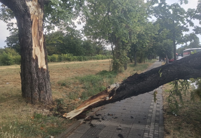 (FOTO) Olujno nevreme zahvatilo Čačak, vetar obarao drveće