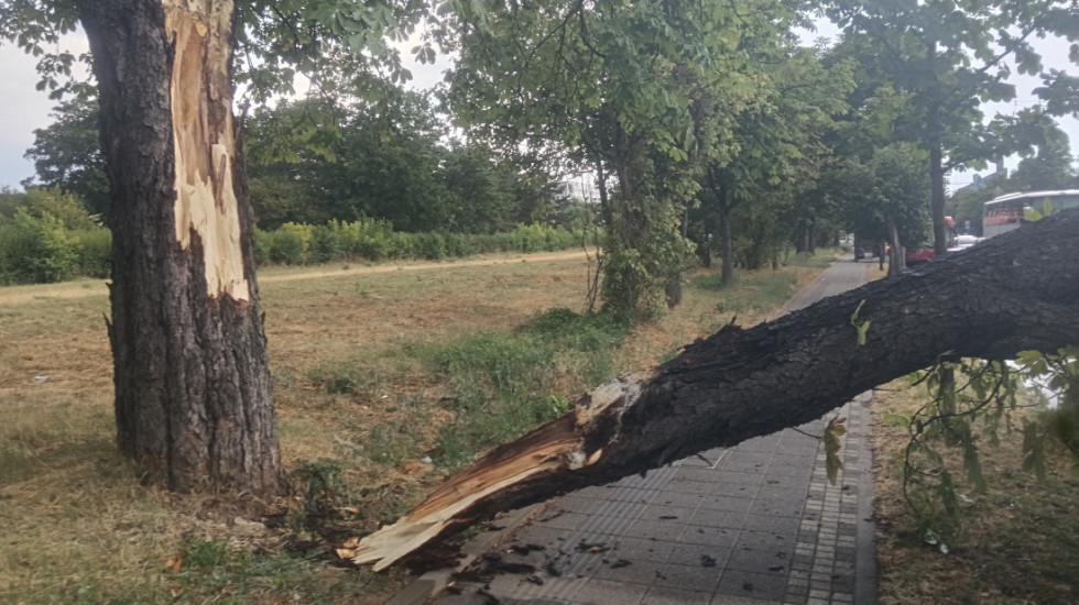 (FOTO) Olujno nevreme zahvatilo Čačak i Kragujevac, vetar obarao drveće