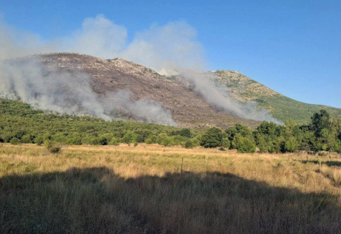 (FOTO/VIDEO) Veliki požari u selima iznad Trebinja: Teška situacija za vatrogasce, u čitavom gradu se oseća dim